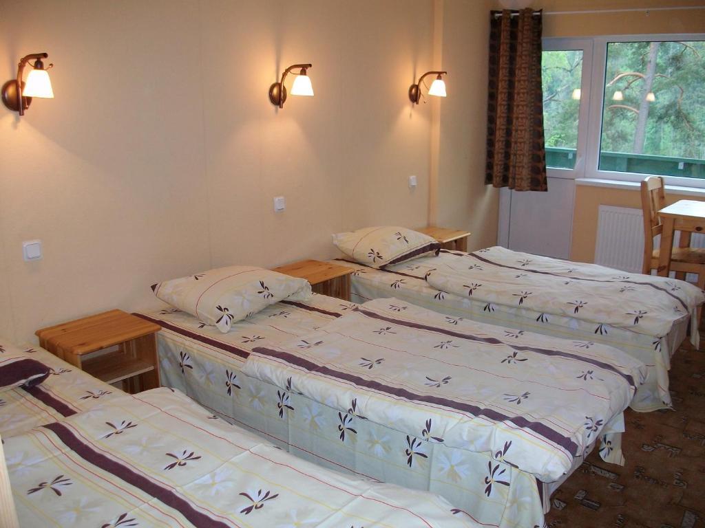 Nelijaerve Holiday Centre Aegviidu Quarto foto